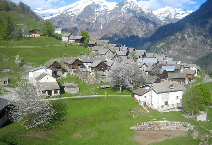Bild 22
