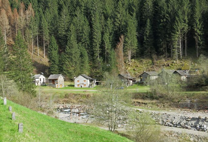 Bild 24