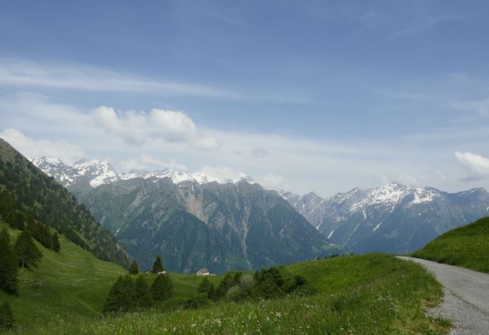 Bild 15