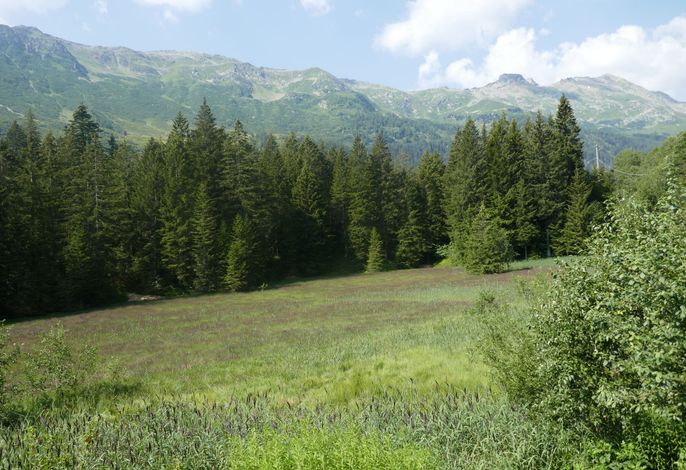 Bild 17