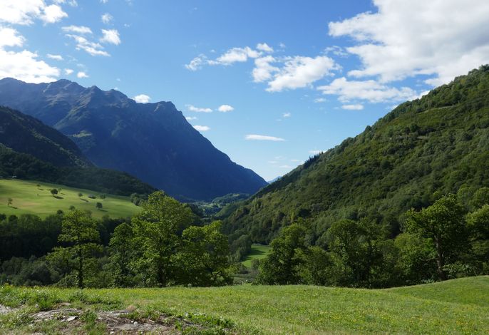 Bild 13