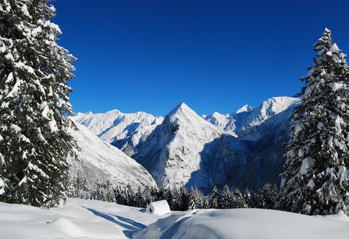 Bild 11