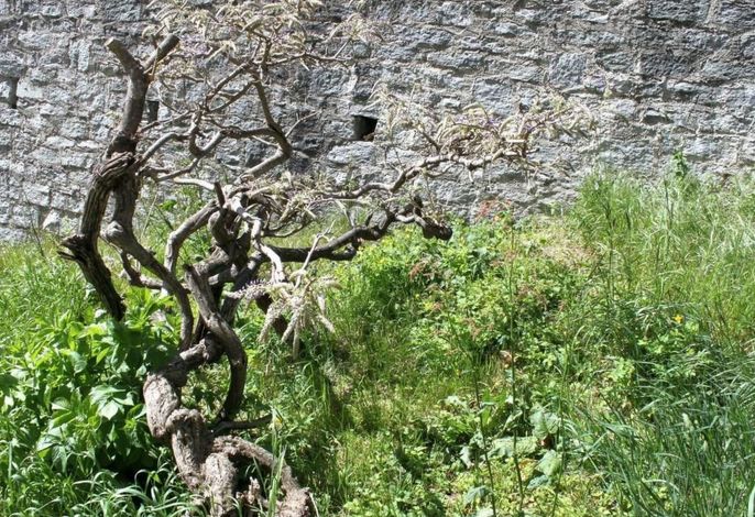 Bild 12