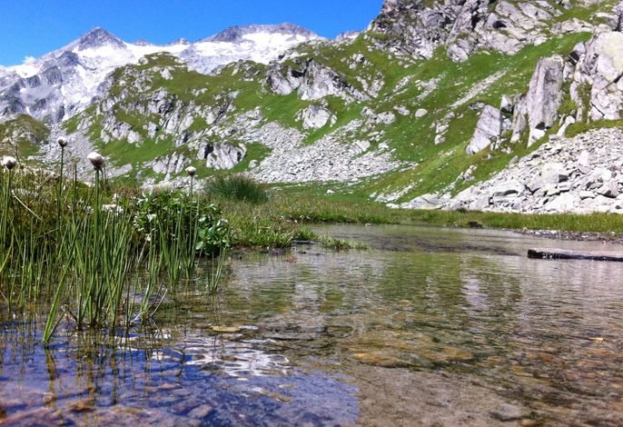 Bild 14