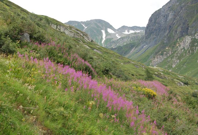Bild 19