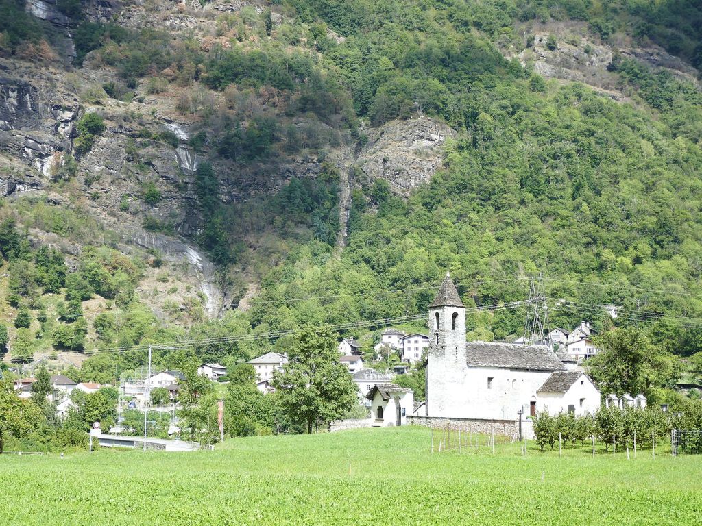 Dolfo