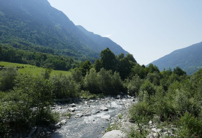 Bild 12