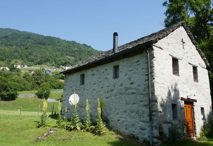 Bild 11