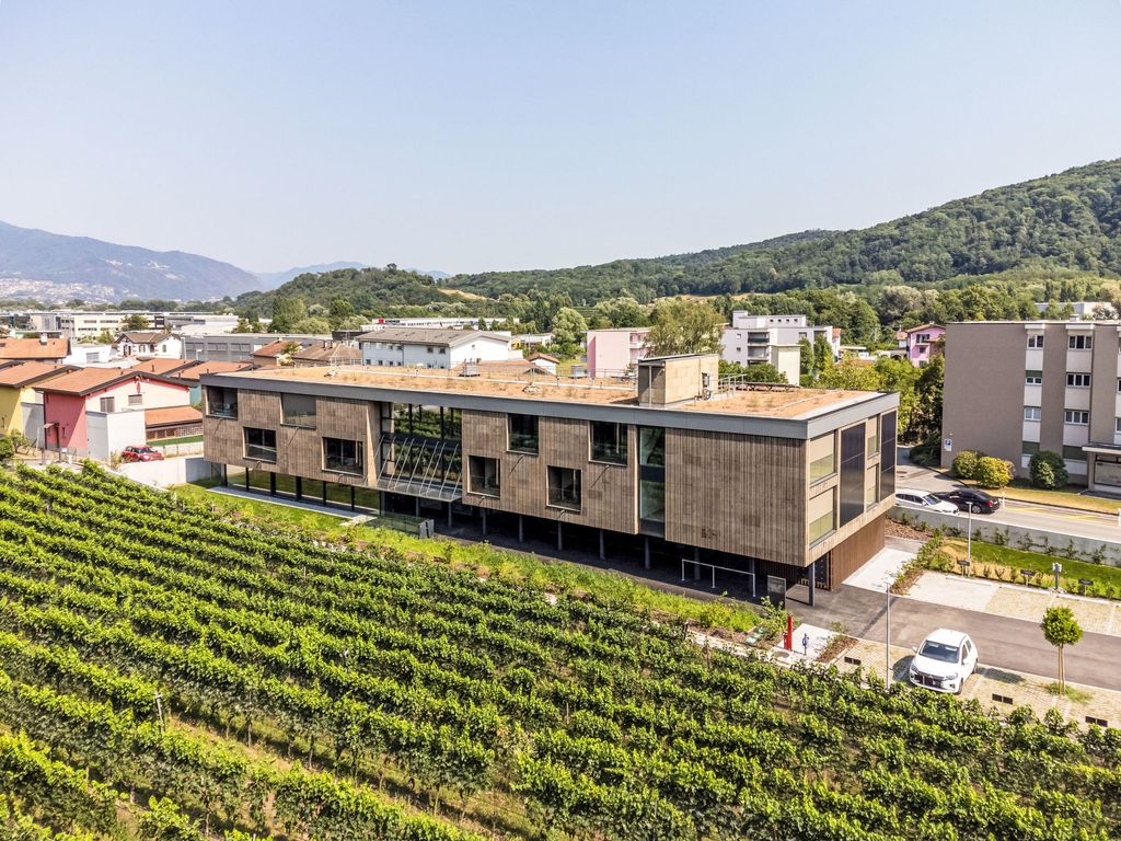 Lo Scudo di Stabio Apt.50m2