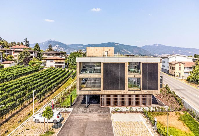 Lo Scudo di Stabio Apt.50m2