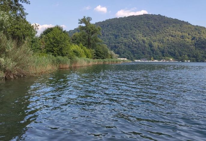 Bild 12