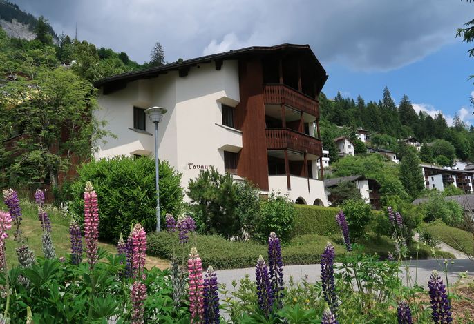 Tavaun A11 – Foto 3