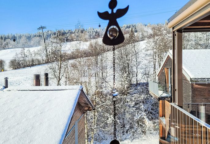 Bild 15