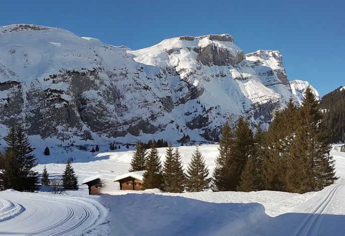Bild 18
