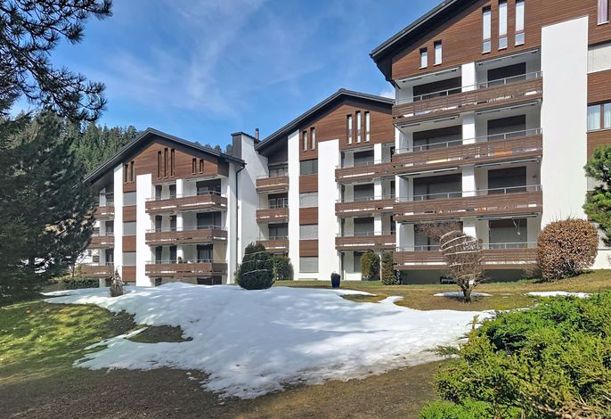 Bild 12