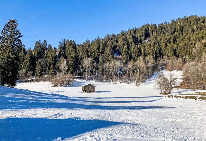 Bild 14