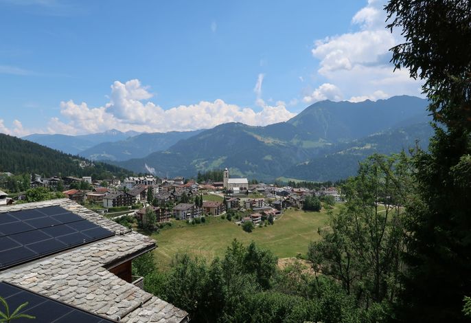 Bild 11