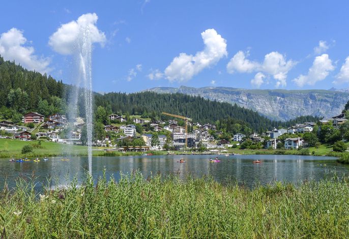 Bild 8