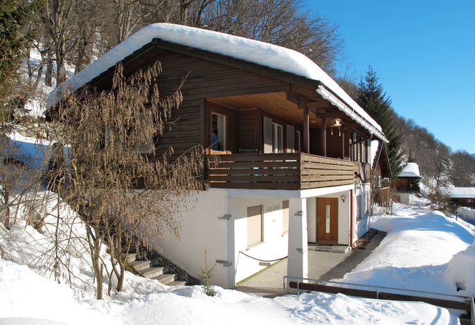 Bild 19
