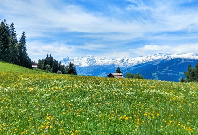 Bild 14