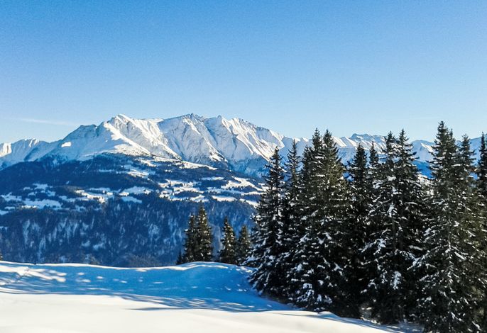 Bild 16
