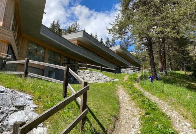 Bild 15