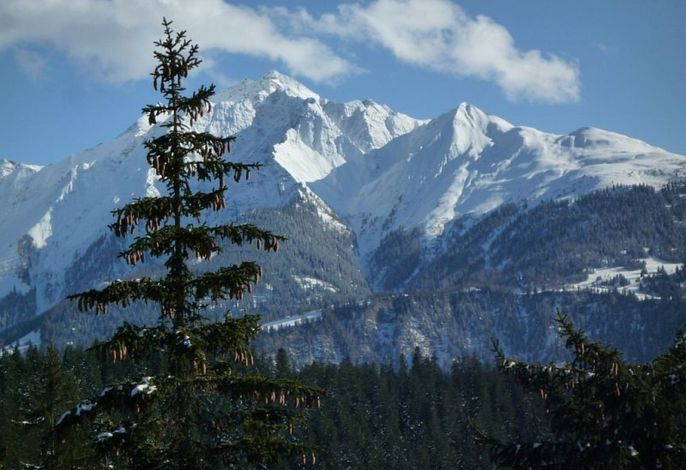 Bild 13