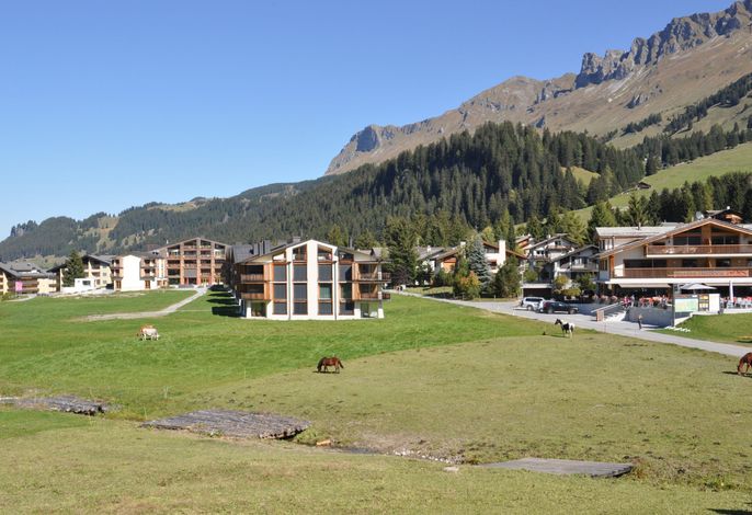 Bild 8