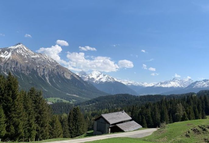 Maiensäss Acla Sissi Lenzerheide – Foto 5