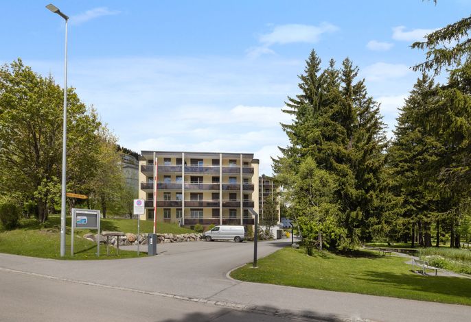 Bild 12