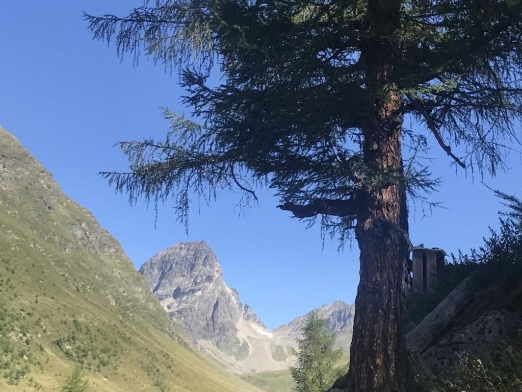Urlaubstage in Davos