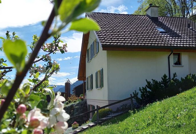 Bild 5