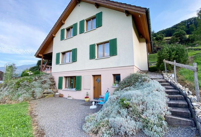 Bild 7