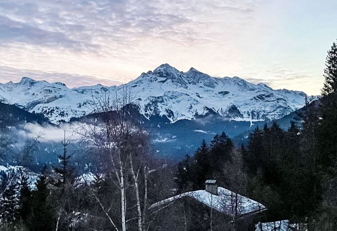 Bild 15