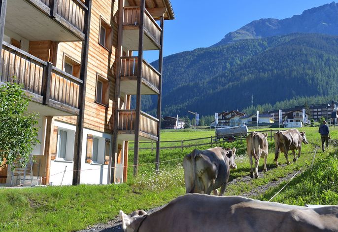 Bild 15