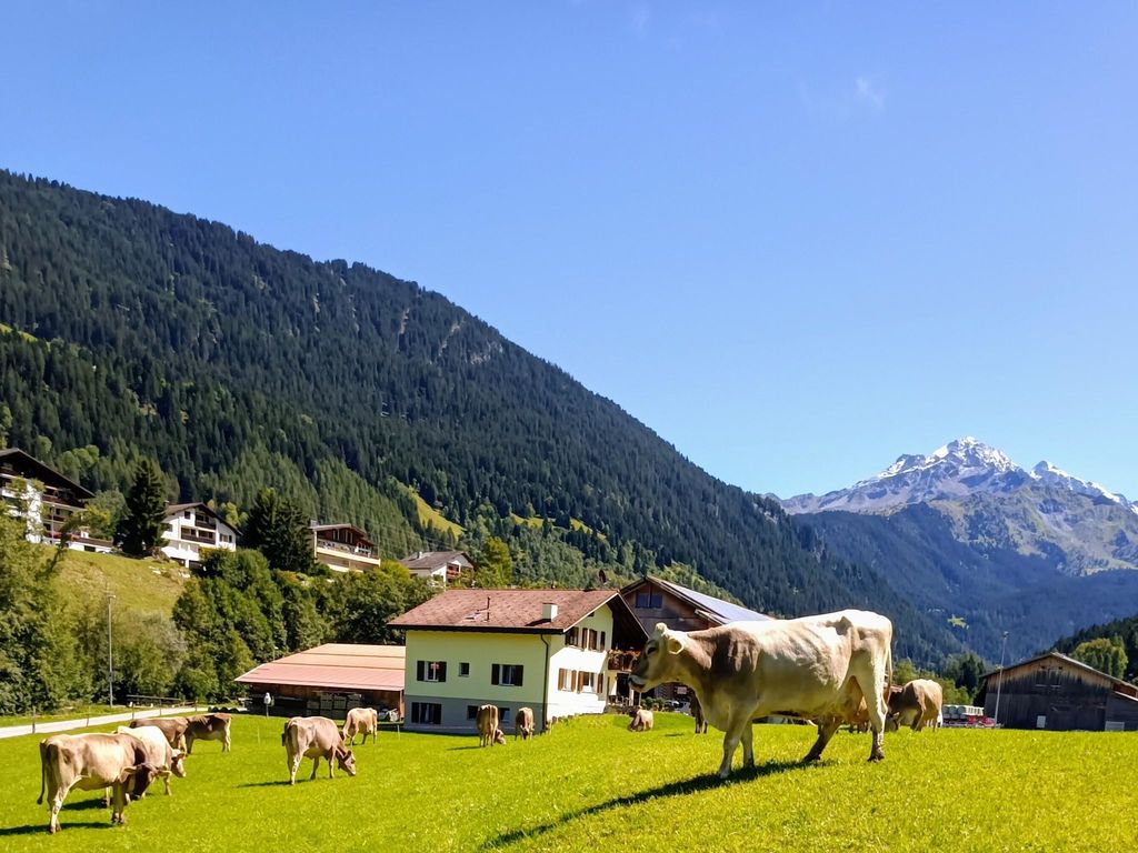 Bauernhof Sot Curtegns Appartement/Fewo, Bad, WC, 2 Schlafräume