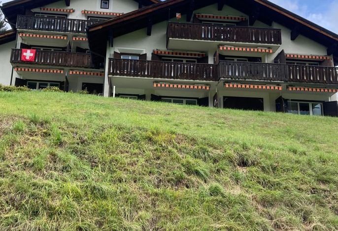 Bild 5