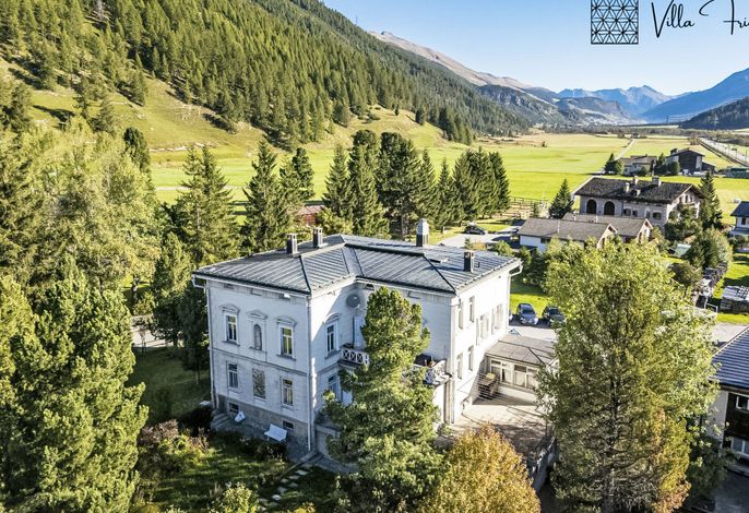 Villa Fried, Stüva