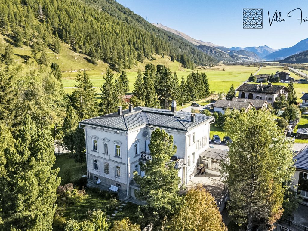 Villa Fried, Natüra