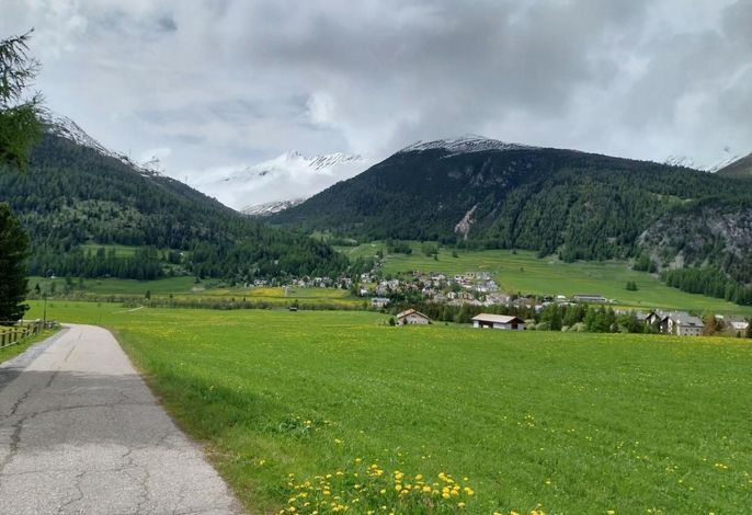Bild 8