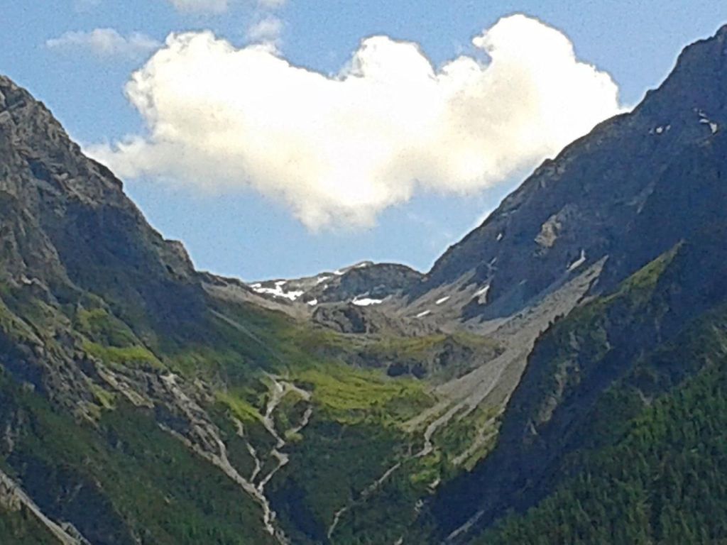 Alvetern Marmotta