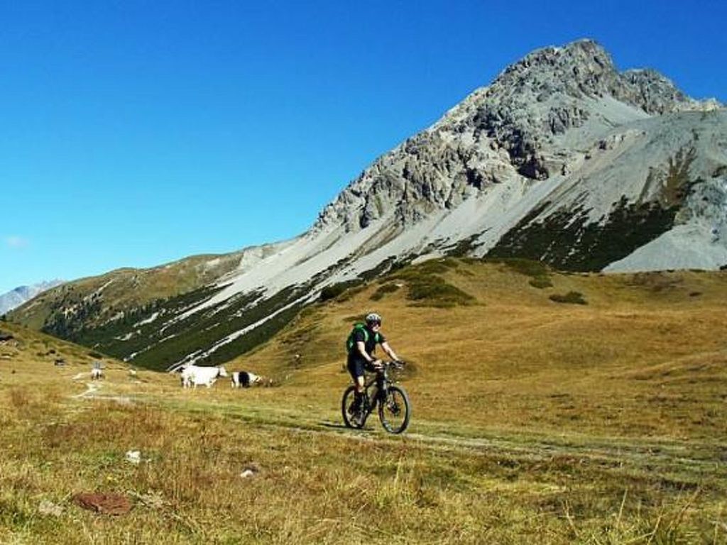 Manaröl 607, (Scuol)