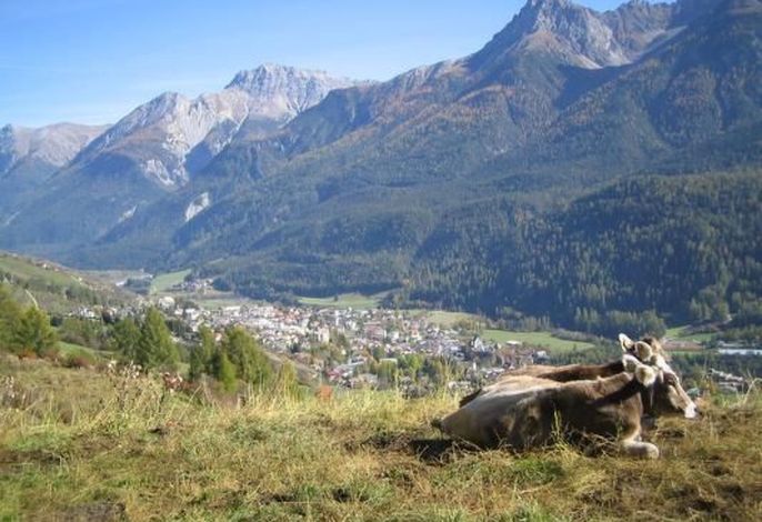Bild 8