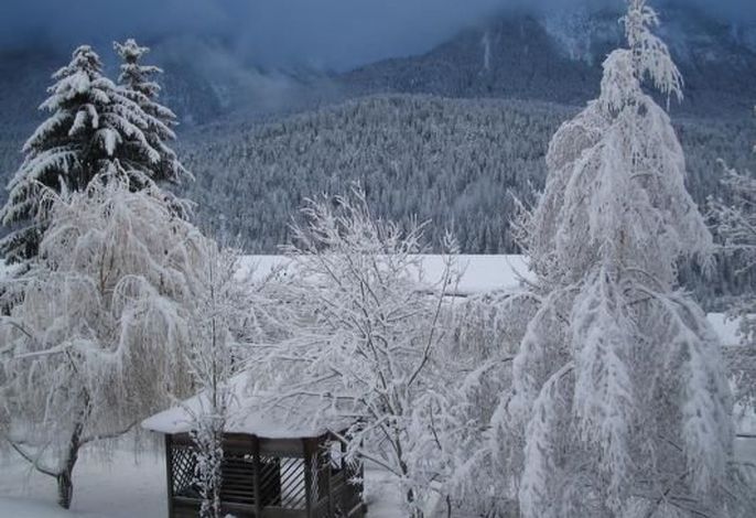 Bild 10