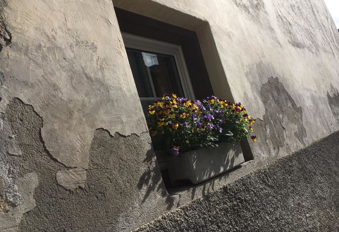 Hauptbild