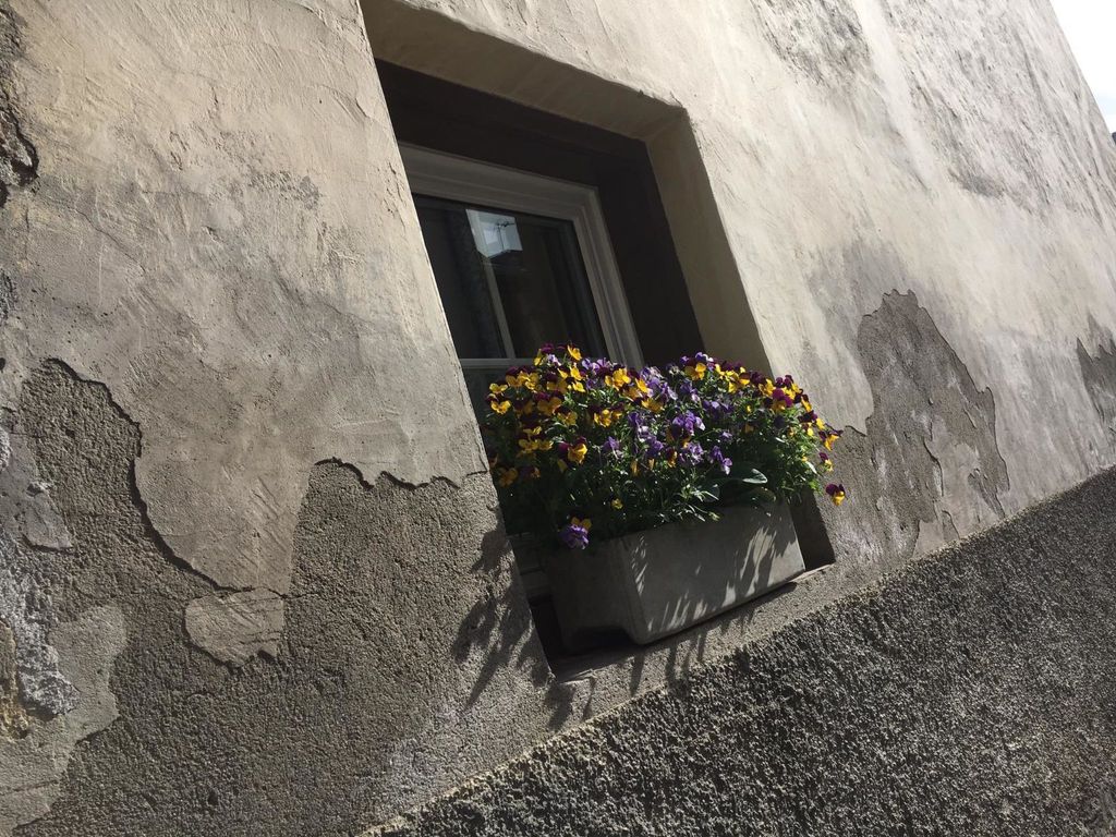 Privatzimmer bügl süt, (Sent)