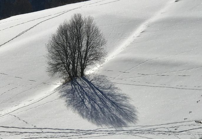 Bild 14