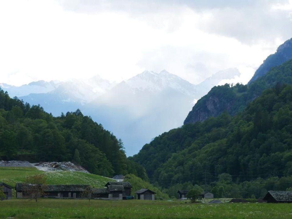 in Borgonovo