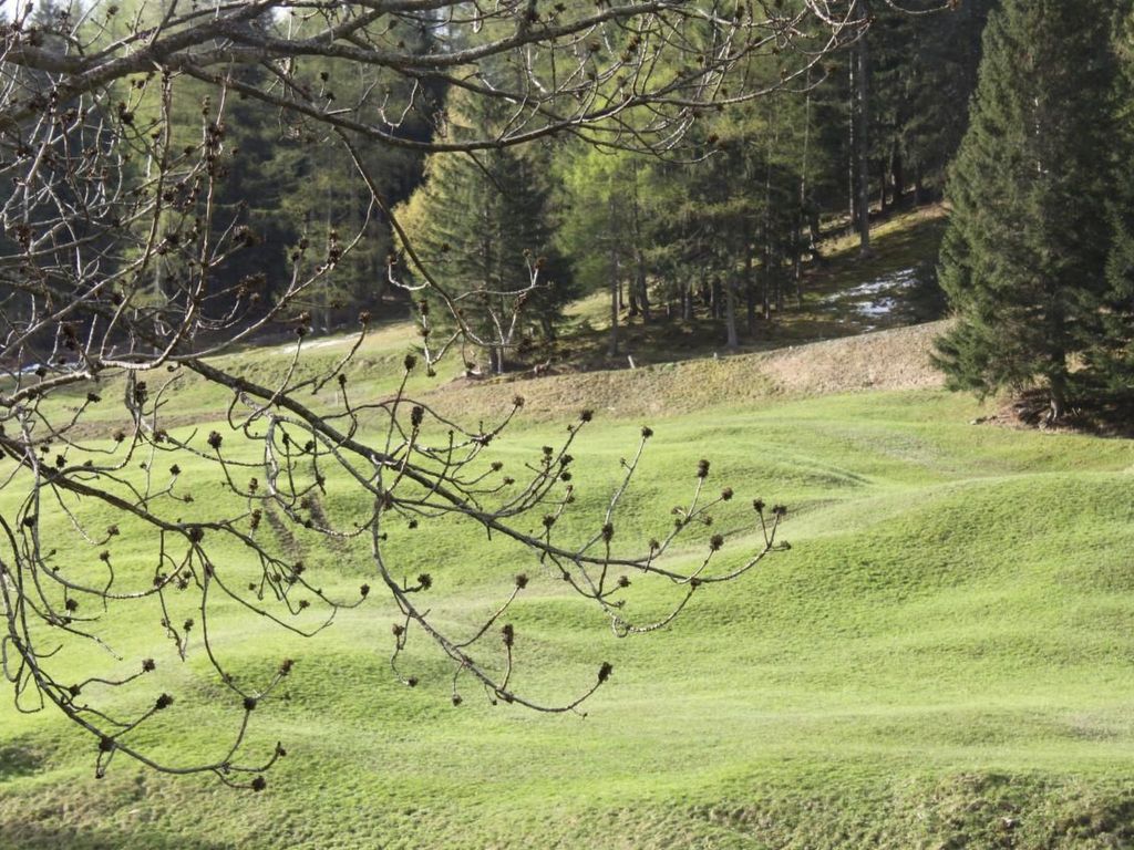Maiensäss La Scera
