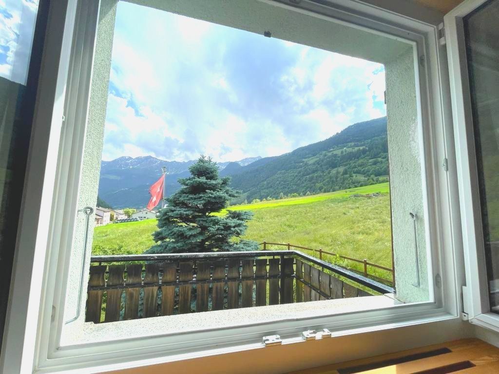 "Window on the grenn"